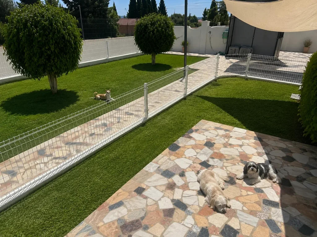 Espacio relax para perros en Marbella Dog Club con zonas de sombra, césped y áreas de descanso al aire libre.