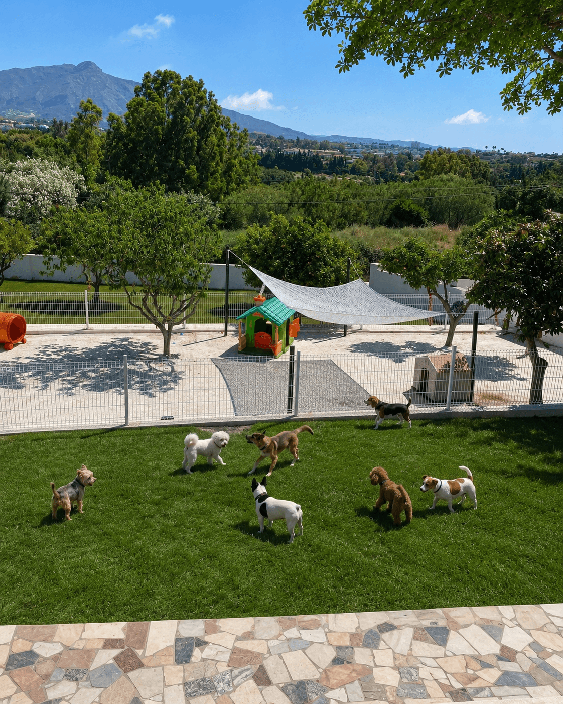 Instalaciones · jardín con piscina y palmeras